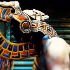 Meet your Posher, Leo